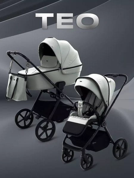 Детская универсальная коляска Rant Teo 2в1 / RA120