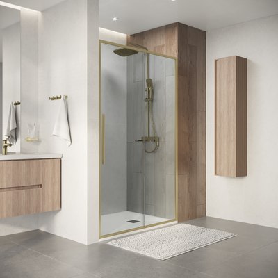 Душевая дверь Niagara Nova NG-44-12ASG 120х195