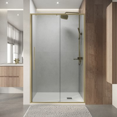 Душевая дверь Niagara Nova NG-44-11ASG 110х195