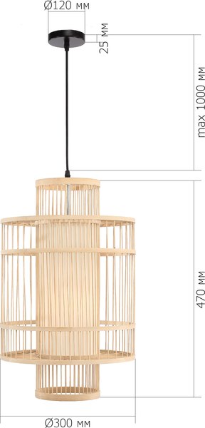 Потолочный светильник ST Luce SL6241.523.01