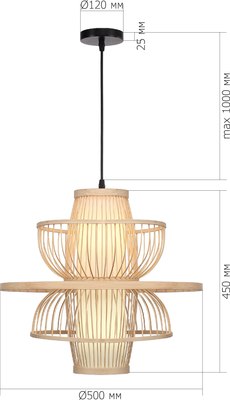 Потолочный светильник ST Luce SL6241.513.01