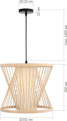 Потолочный светильник ST Luce SL6241.503.01