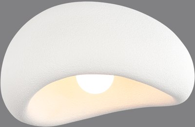 Потолочный светильник ST Luce SL1522.502.01 - фото