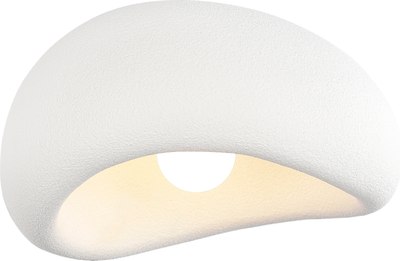 Потолочный светильник ST Luce SL1522.502.01