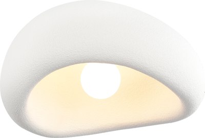 Потолочный светильник ST Luce SL1522.502.01