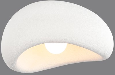 Потолочный светильник ST Luce SL1522.512.01 - фото