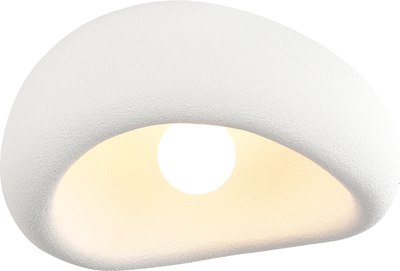 Потолочный светильник ST Luce SL1522.512.01