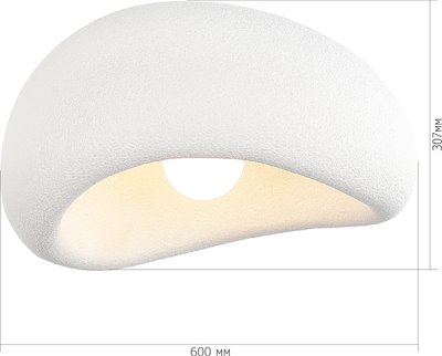 Потолочный светильник ST Luce SL1522.512.01