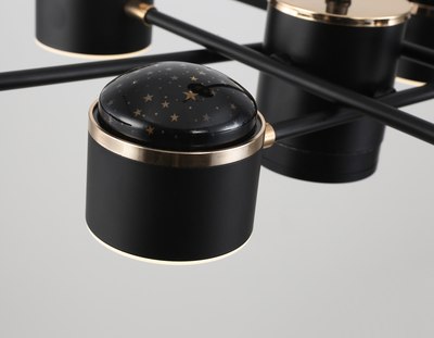 Люстра Ambrella FL51629/9+4 BK/FGD (черный/золото)