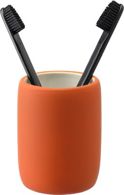 Стакан для зубной щетки и пасты Bergenson Bjorn Flow / BB0000878