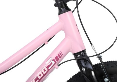 Детский велосипед Maxiscoo 3bike 20 L 2025 / MSC-M3-2004 