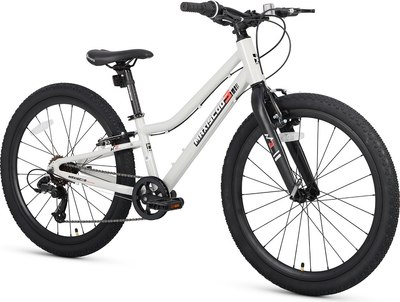 Велосипед Maxiscoo 3bike 24 L 2025 / MSC-M3-2403