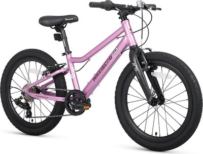 Детский велосипед Maxiscoo 5bike 20 L200 2025 / MSC-M5-2013