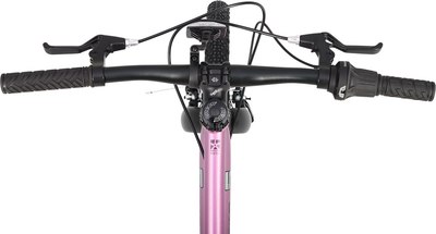 Детский велосипед Maxiscoo 5bike 20 L200 2025 / MSC-M5-2013