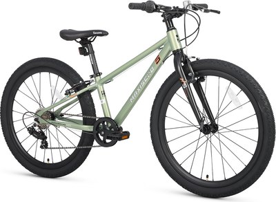 Велосипед Maxiscoo 5bike 24 M200 2025 / MSC-M5-2411