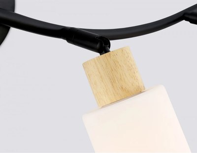 Спот Ambrella TR8723/4 BK/WD