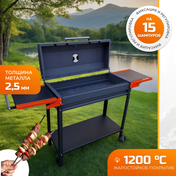 Мангал STEEL GRILL Profi BBQ Plus STG-85/5 - фото