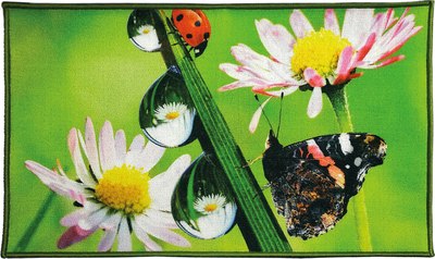 Коврик для ванной Shahintex Fantasy Icarpet 60x100 006 / 451872 - фото