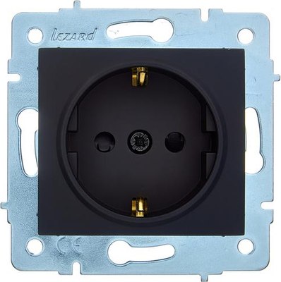 Розетка Lezard Asti 7081-4288-124B - фото