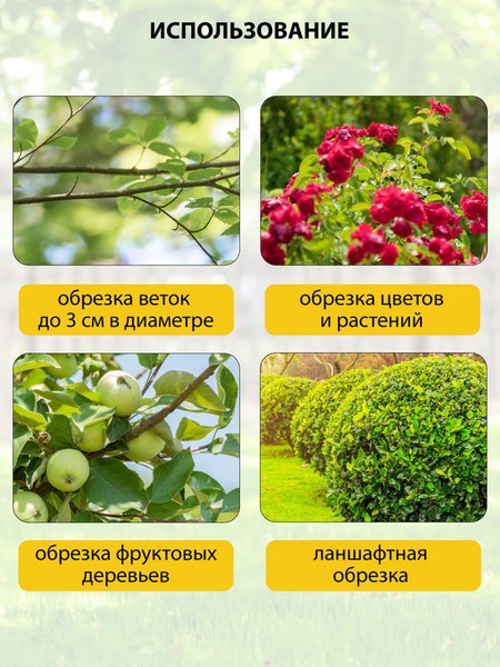 Секатор аккумуляторный Pioneer BP-20V20BL-01