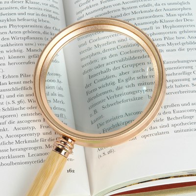 Лупа ручная Veber MG10X75 с ручкой / 32128