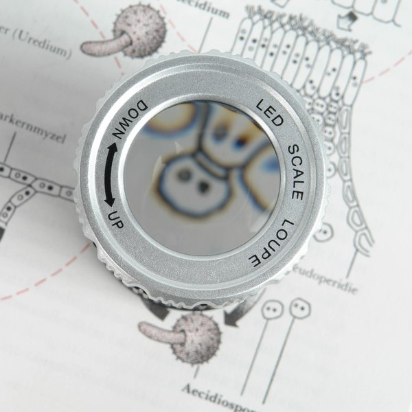 Лупа-стакан Veber MG30X30UV / 32131