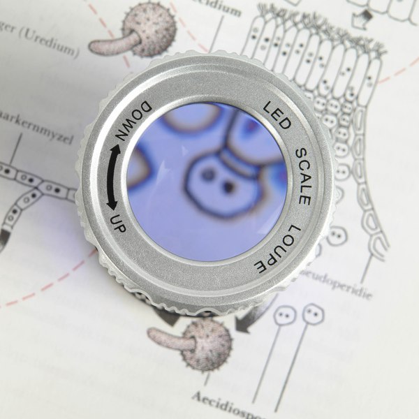 Лупа-стакан Veber MG30X30UV / 32131