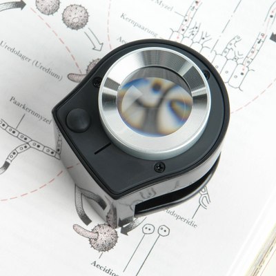 Лупа ручная Veber MG30X26UV / 32130