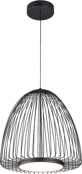 Потолочный светильник Евросвет Comodita 40010/1 LED - фото