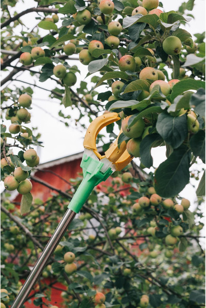 Плодосъемник GREENGO 5245031