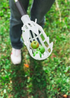 Плодосъемник GREENGO 3036167