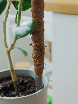 Опора для растений GREENGO 120см / 10486143