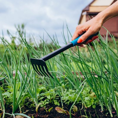 Грабли ручные GREENGO 150706