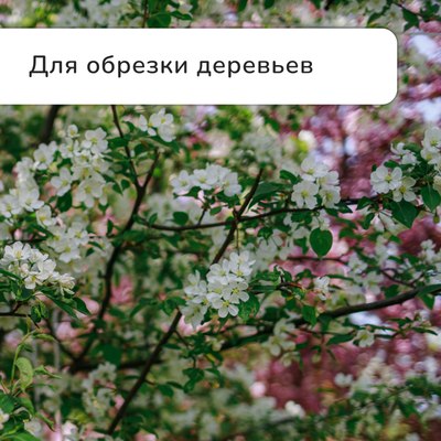 Сучкорез механический GREENGO 139651