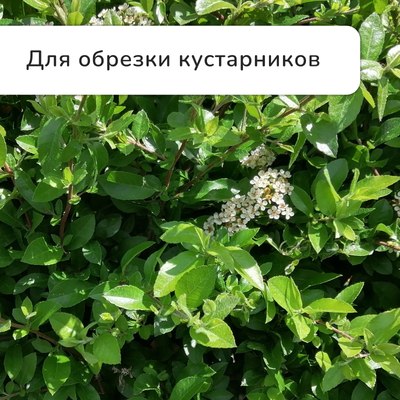 Сучкорез механический GREENGO 139651