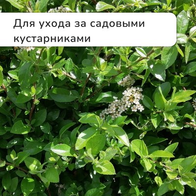 Секатор механический GREENGO 3809461