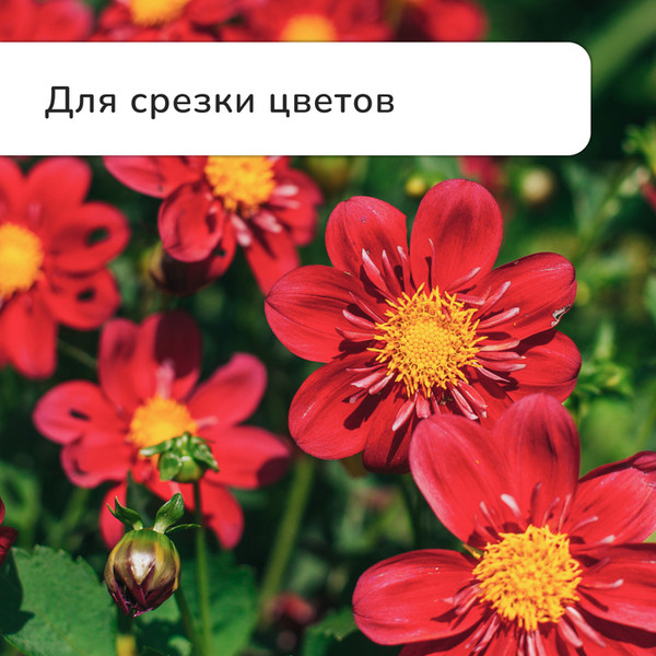 Садовые ножницы механические GREENGO 150785