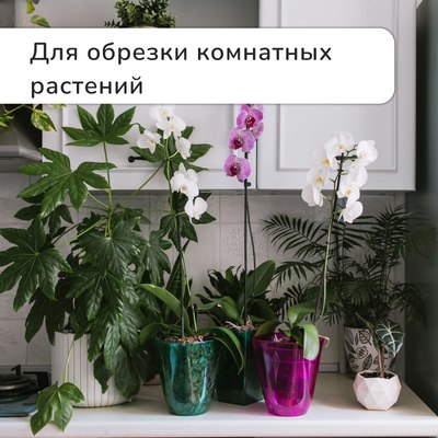 Садовые ножницы механические GREENGO 3028457