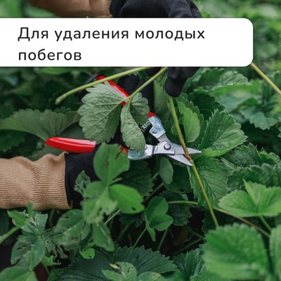 Садовые ножницы механические GREENGO 3028457