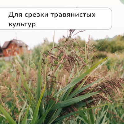 Садовые ножницы механические GREENGO 3028457