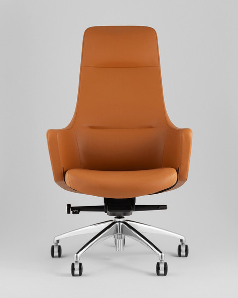 Кресло офисное TopChairs Ferris A336 270-09