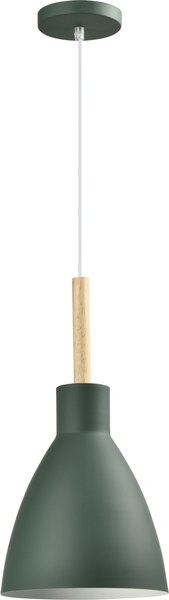 Потолочный светильник Moderli Toni V11438-1P - фото