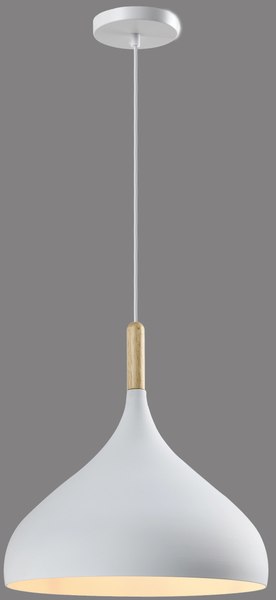 Потолочный светильник Moderli Eline V11439-1P - фото