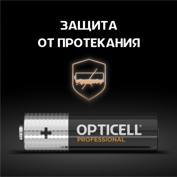 Комплект батареек Opticell Professional AA