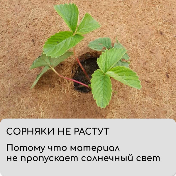 Укрывной материал Мульчаграм Кокосовое полотно для мульчирования 3x1м