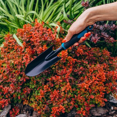 Совок садовый GREENGO 9905727