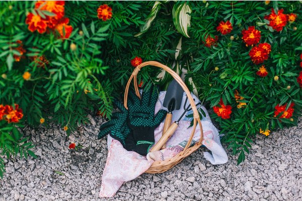 Набор садовых инструментов GREENGO 1773746