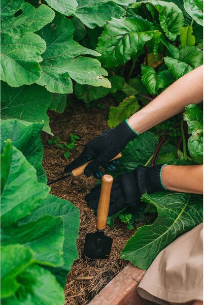 Набор садовых инструментов GREENGO 1773746