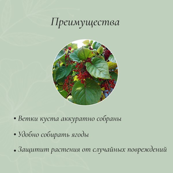 Опора для растений GREENGO Кустодержатель 4284829