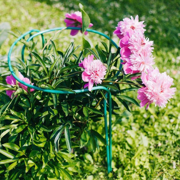 Опора для растений Sima-Land Кустодержатель 3667427